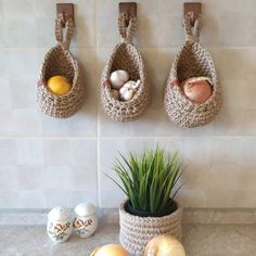 three baskets hanging on the wall with eggs and onions in them next to an onion plant