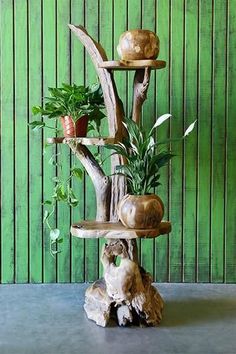 a wooden tree with potted plants on it's sides and green wall in the background