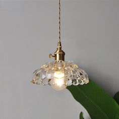 a light hanging from a ceiling next to a green plant