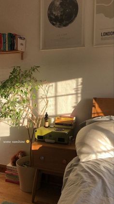 there is a small tree in the corner of this room with books on the shelf