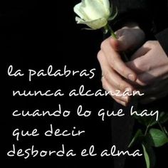 a person holding a white rose in their left hand with the words la paladas mune alcanzann