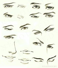 a bunch of different types of eyes and their features are drawn in pencil on paper