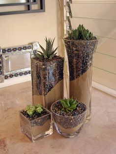 three glass vases with succulent plants in them sitting on a counter top