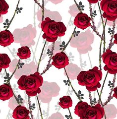 a bunch of red roses on a white background