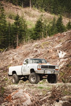 a white truck is parked on the side of a hill with trees in the background