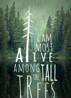 i am most alive among the tall trees