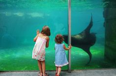 11 Things to Do With Kids in Vienna | Fodor's Travel Vienna Zoo, Vallejo California, Treasure Island Florida, 6 Flags, Pto Today, Vienna Travel, Animal Encounters, School Field, Kids Things To Do