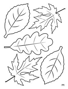 three leaves that are black and white