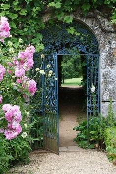 an iron gate with pink flowers in the foreground and green foliage on either side