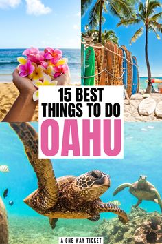 the words, 15 best things to do in oahuu are overlaid by images of sea turtles and corals