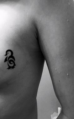 50 Penguin Tattoo Designs for Men [2023 Inspiration Guide] |   couple tattoos wedding date Penguin Tattoo, Aquatic Birds, Men's Small Tattoo, Flightless Bird, Tattoo Designs For Men, Small Tattoos For Guys, Real Tattoo, Wedding Tattoos