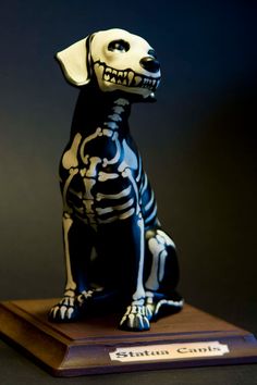 a skeleton dog figurine sitting on top of a wooden base