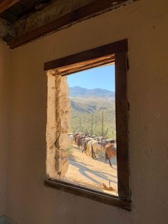 a window in a wall with horses looking out