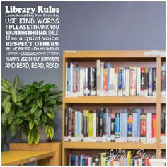 there is a library with many books on the shelves and a potted plant next to it