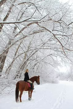 a woman riding on the back of a brown horse through a snow covered forest filled with trees