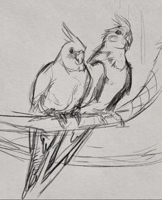 two birds sitting on top of a tree branch