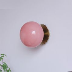 a pink door knob mounted to the side of a white wall next to a potted plant