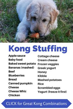 a dog laying in the grass with its head on an orange ball and text describing kong stuffing