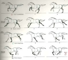 the horse is running in different positions and numbers on it's back legs,