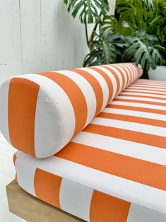 an orange and white striped bed spread with plant in the backgroung area