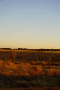 an airplane flying in the sky over a field with brown grass and trees on either side