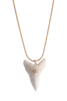 Blanco Necklace Shark Tooth Jewelry, Gold Green Necklace, Shark Teeth Jewelry, Shark Stuff, South Carolina Coast, Tooth Jewelry, Kate Davis, Carolina Coast, Shark Tooth Pendant