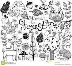 the word forest surrounded by hand drawn doodle animals, trees and leaves on a white background