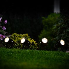 three lights that are on some grass in the night time with pink flowers behind them