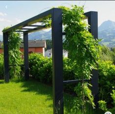 an outdoor area with green grass and bushes