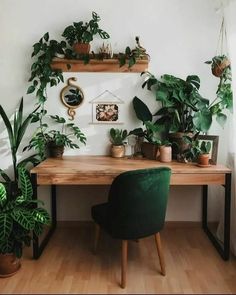 a wooden desk topped with lots of plants next to a wall mounted shelf filled with potted plants