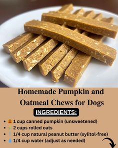 homemade pumpkin and oatmeal chews for dogs on a plate with instructions