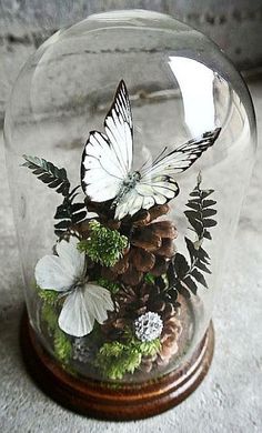 a glass dome with flowers and butterflies inside