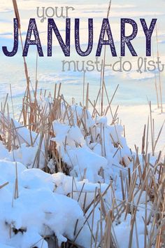 the words you're january must do list are in front of snow covered grass