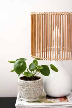 a white vase sitting on top of a table next to a green plant in a pot