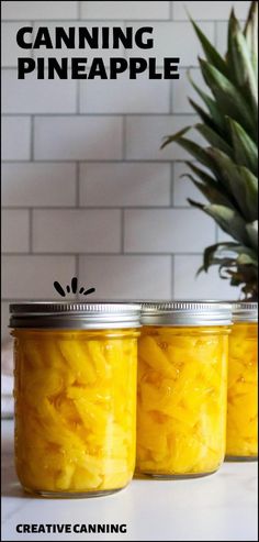 Learn the art of canning pineapple and preserve the tropical flavor of this vibrant fruit for year-round enjoyment. Home-canned pineapple is fresher, tastier, and free of unnecessary additives. Perfect for snacking or recipes! Find more easy canning, preserve pineapple recipes, pineapple preserves, and Safe Canning Recipes at Creative Canning.