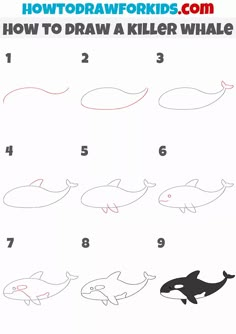 how to draw killer whale for kids with easy step by step drawing instructions and pictures