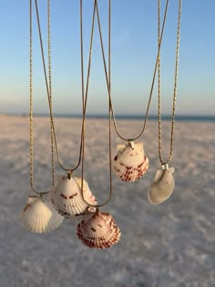 four seashells hanging from gold chains in the sand near the water's edge