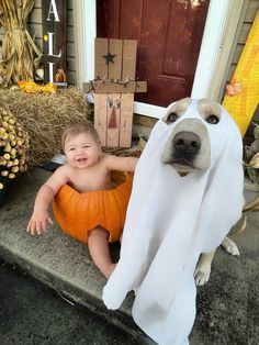 a baby and a dog dressed up for halloween