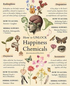 Happiness Chemicals, Ayurveda Life, Herbs Garden, Magic Herbs, Herbal Healing, Herbal Magic, Herbs For Health