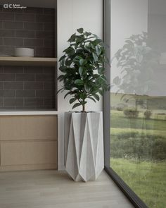 a potted plant sitting next to a window