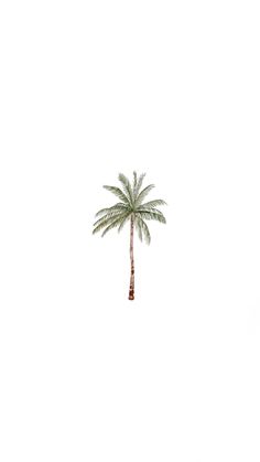 a palm tree in the middle of a white sky with two people walking by it