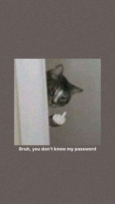 a black and white cat peeking out from behind a door with the caption, bruh, you don't know my passport