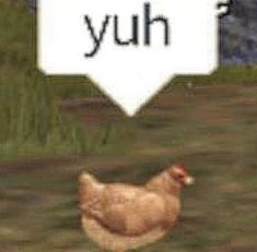 a chicken is standing in the grass with a speech bubble above it that says yuh