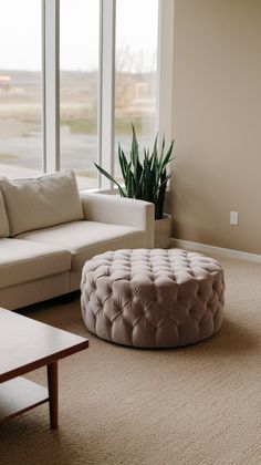 a living room filled with furniture and a plant in front of large windows on top of carpeted flooring