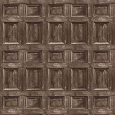 an image of a wooden door with many squares on the front and back paneling