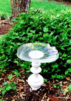 a glass dish sitting on top of a white pedestal in the middle of a garden