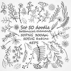 an image of some flowers and plants with the words set 50 doodle botanical elements