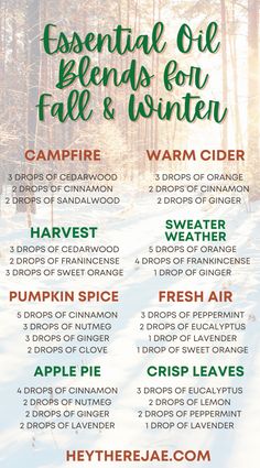 Fall Scents Essential Oils, Best Essential Oil Blends, Fall Essential Oil Blends, Fall Essential Oils, Essential Oil Combinations, Essential Oil Diffuser Blends Recipes, Essential Oils Guide, Essential Oils Herbs, Essential Oil Diffuser Recipes