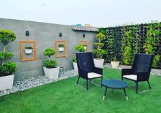 two chairs sitting on top of a green grass covered field next to potted plants