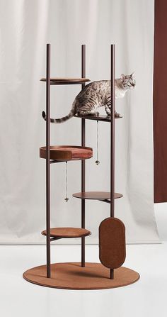 a cat sitting on top of a wooden shelf